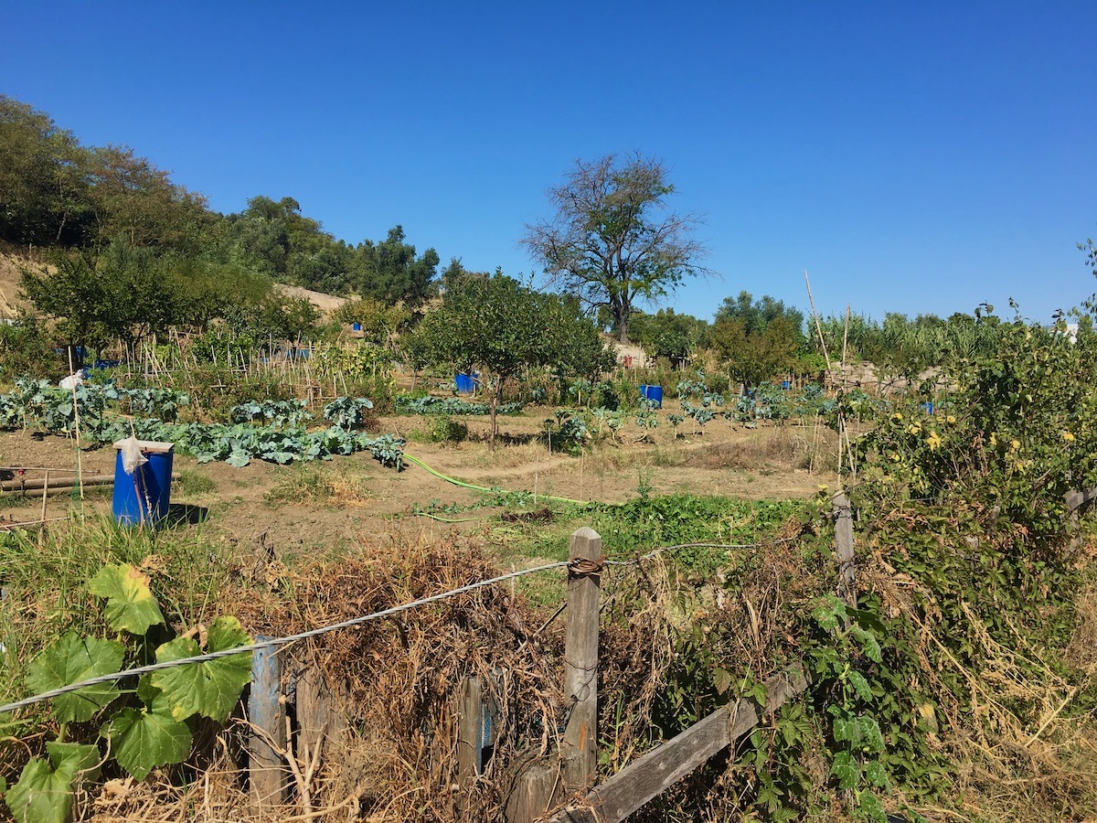 urban garden in Lisbon