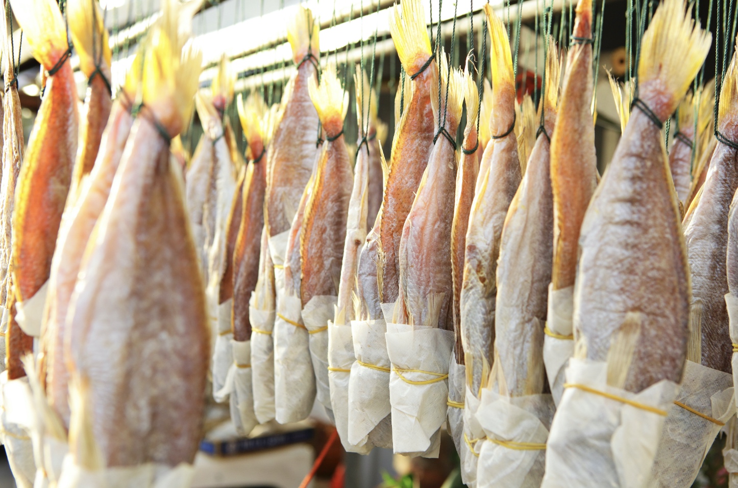 several fish hanged drying 