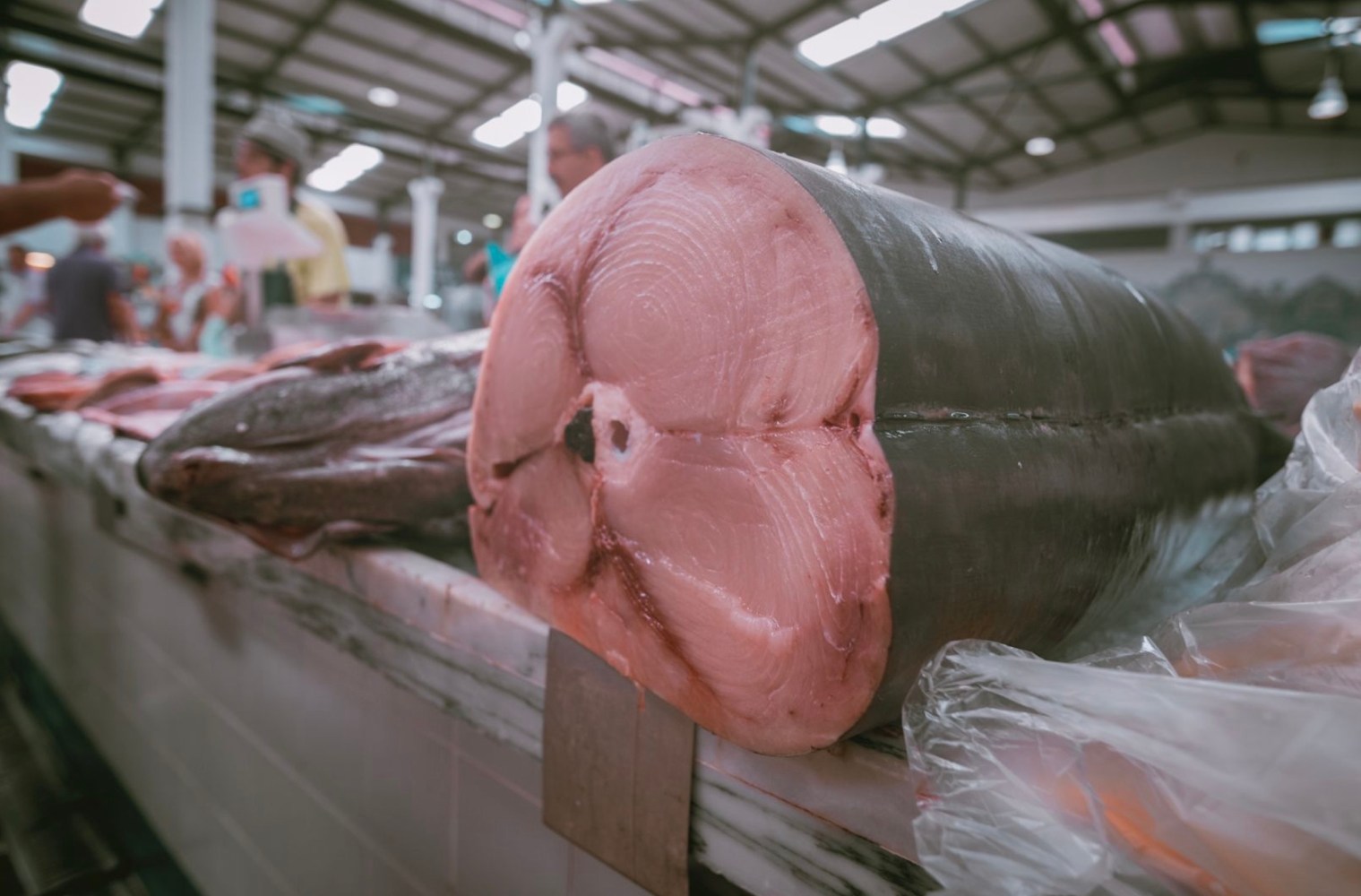 a tuna loin in a market stand 